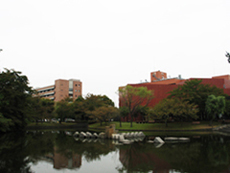 Tsukuba University